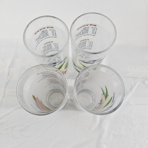 Celebrity Cruises Orchids Frosted High Ball Glasses Drink Recipe – Set of 4 - Picture 16 of 16